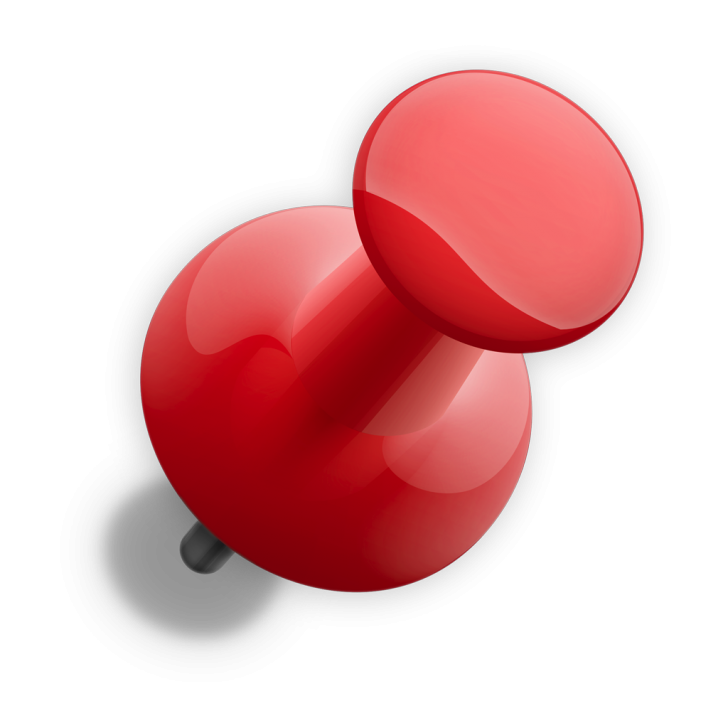 Pin